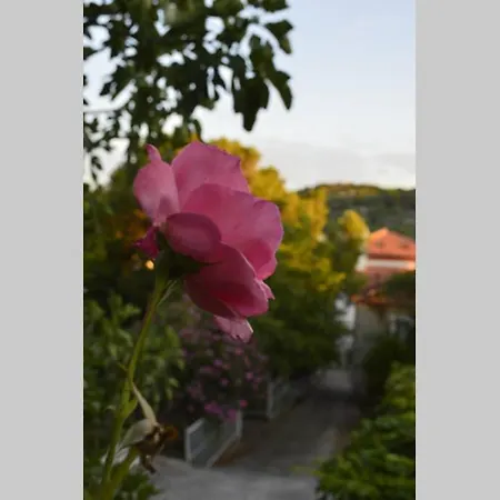 Private With A Garden And A Terrace Tisno